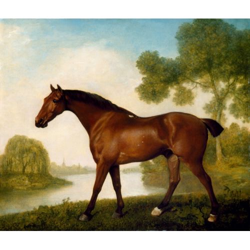 George Stubbs, Truss Avcı