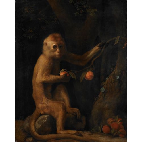 George Stubbs, A Monkey George Stubbs, A Monkey