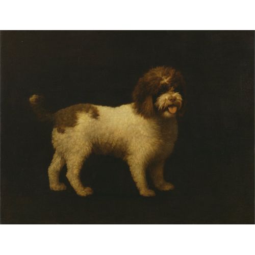 George Stubbs, Su İspanyolu