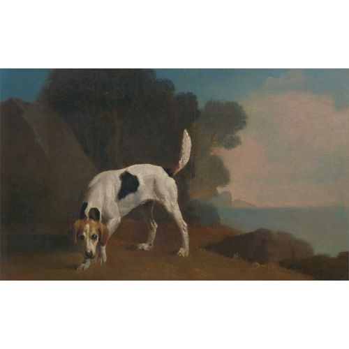 George Stubbs, Tilki Tazısı