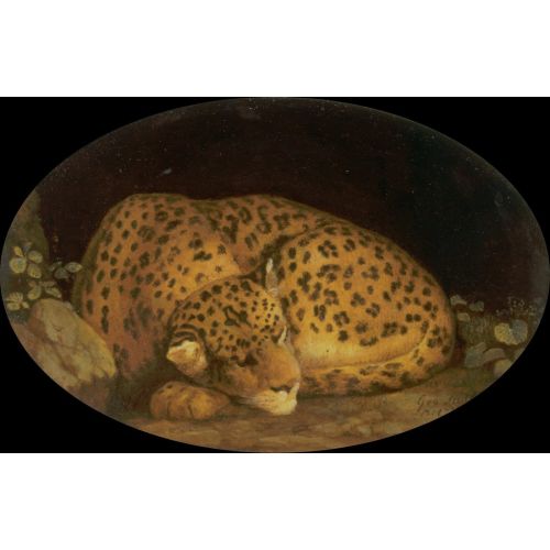 George Stubbs, Uyuyan Leopar