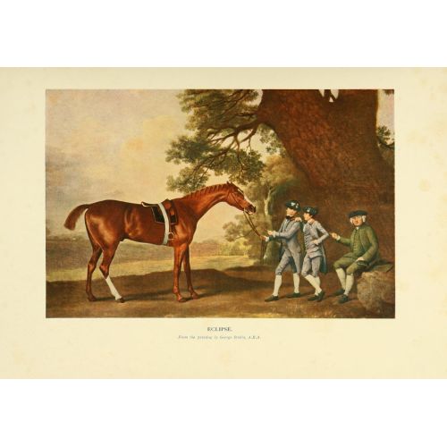 George Stubbs, Atın Yeni Kitabı