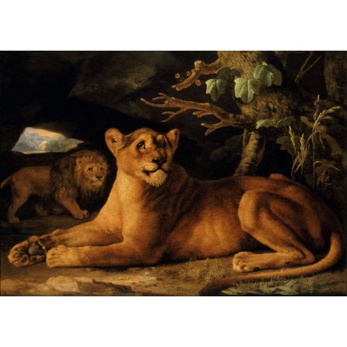 George Stubbs, Aslan Ve Dişi Aslan