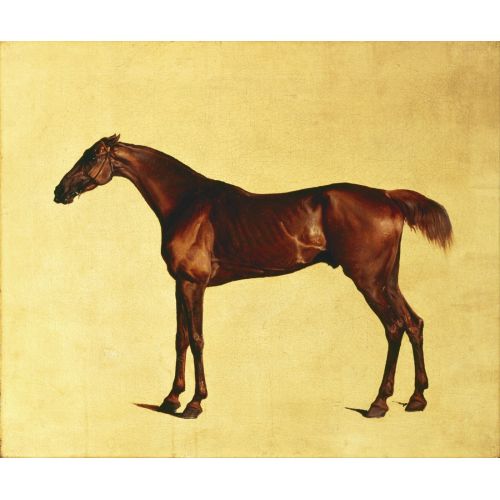 George Stubbs, Pangloss