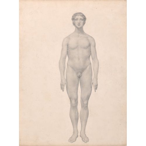 George Stubbs, İnsan Vücudu Xvıı