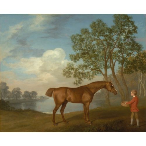 George Stubbs, Sabit Bir Delikanlı İle Kabak