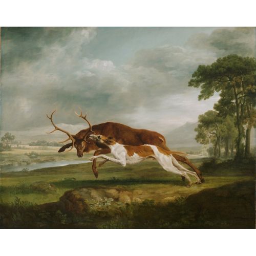 George Stubbs, İngiliz Tazı Bir Geyik Kovalıyor
