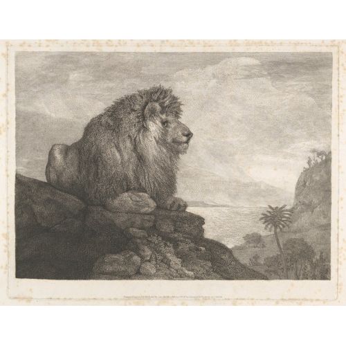 George Stubbs, A Lion Resting On A Rock George Stubbs, A Lion Resting On A Rock