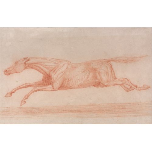 George Stubbs, Sola Dörtnala Hareket Halinde Bir Yarış Atı Çalışması, Yarı Anatomik Bir Çalışma İle Derisi Soyulmuş