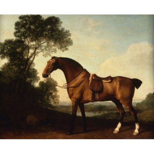 George Stubbs, Semer Vurulmuş Bir Doru Avcı