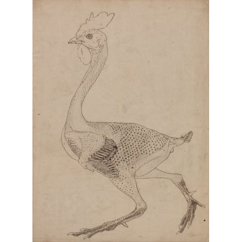 George Stubbs, A Cock Anatomy Iv George Stubbs, A Cock Anatomy Iv