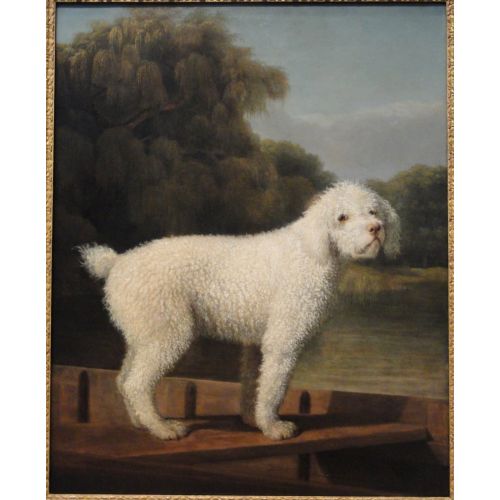 George Stubbs, Bir Tekne İle Giden Beyaz Kaniş