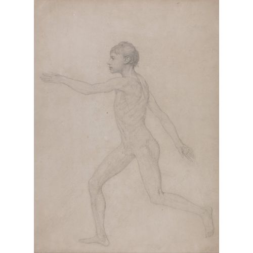 George Stubbs, İnsan Vücudu V