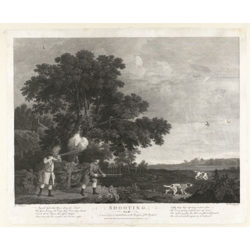 George Stubbs, Atış III George Stubbs, Atış III