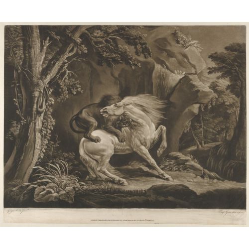 George Stubbs, Aslan Ve At