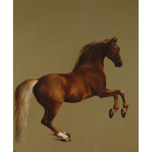 George Stubbs, Whistlejacket Düzenleme Realizm George Stubbs, Whistlejacket Düzenleme Realizm Sanat Akımları Kanvas Efektli Tablo, Resim Kağıdı Baskısı, Reprodüksiyon
