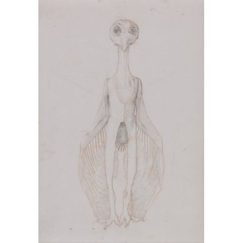 George Stubbs, A Cock Anatomy V George Stubbs, A Cock Anatomy V