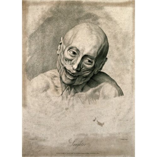 George Stubbs, Duri Yüz Kaslarının Durumunu Gösteren Bir Yüzülmüş Yüz George Stubbs, Duri Yüz Kaslarının Durumunu Gösteren Bir Yüzülmüş Yüz