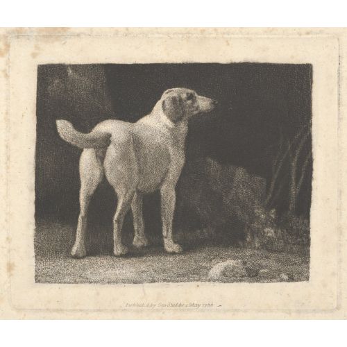 George Stubbs, A Foxhound Viewed From Behind George Stubbs, A Foxhound Viewed From Behind