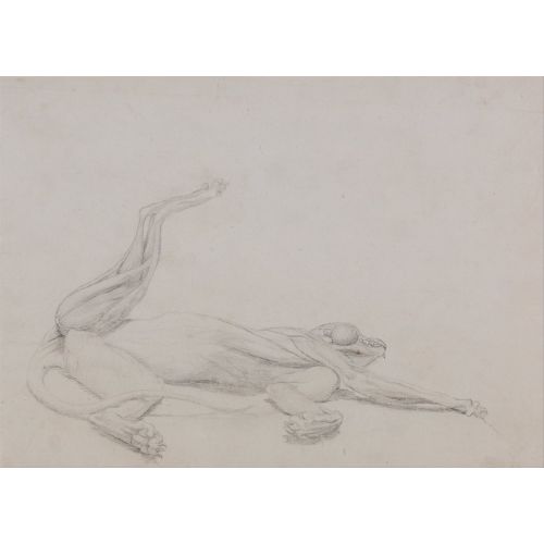 George Stubbs, Bir Kaplan Anatomisi V