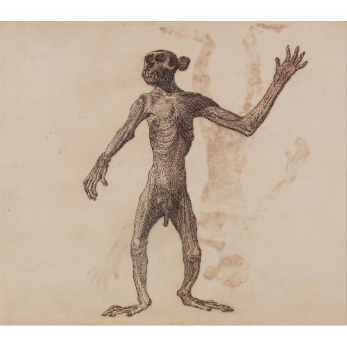 George Stubbs, Beşeri Vücudu Xvııı George Stubbs, Beşeri Vücudu Xvııı