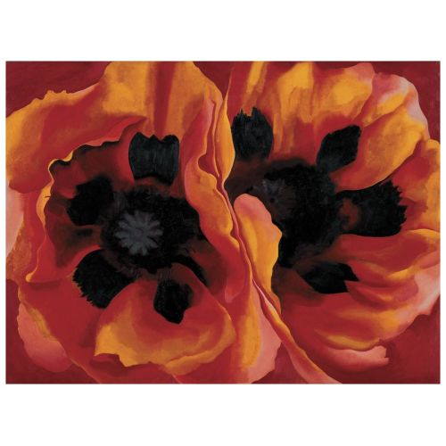 Georgia O'keeffe, Oryantal Haşhaş Georgia O'keeffe, Oryantal Haşhaş