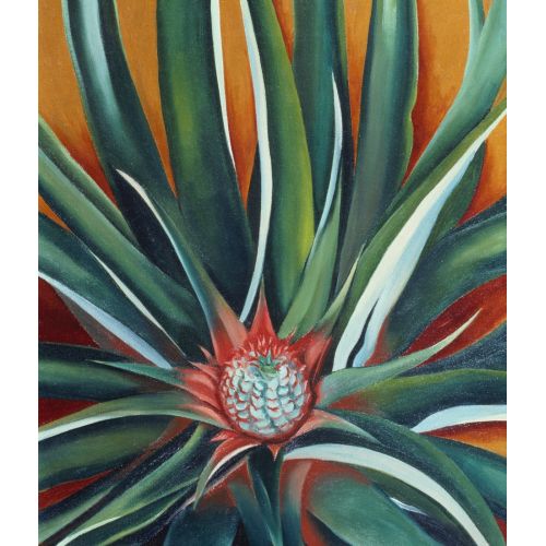 Georgia O'keeffe, Ananas Tomurcuğu