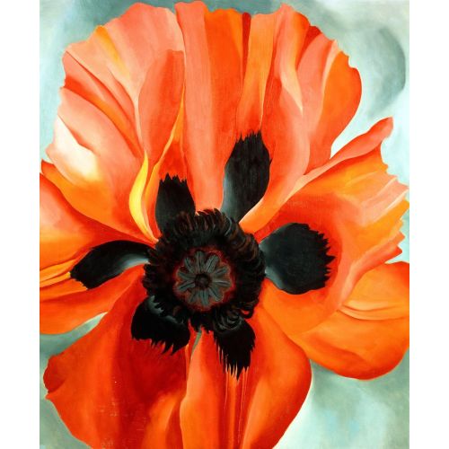 Georgia O'keeffe, Gelincik Georgia O'keeffe, Gelincik