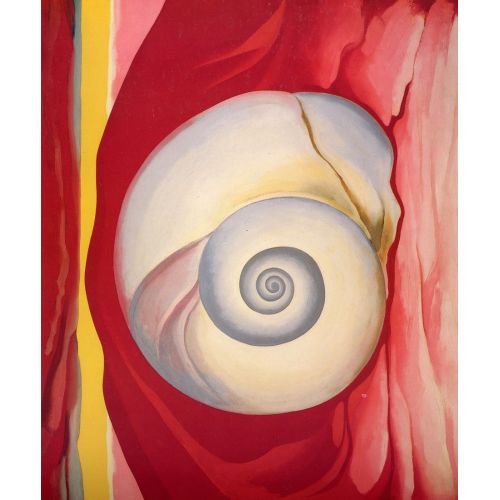 Georgia O'keeffe, Shell Georgia O'keeffe, Shell