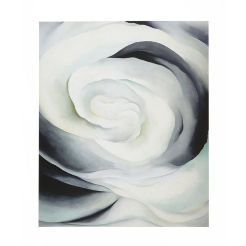 Georgia O'keeffe, Beyaz Gül