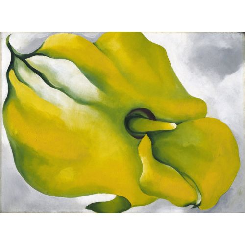 Georgia O'keeffe, Sarı Calla Georgia O'keeffe, Sarı Calla