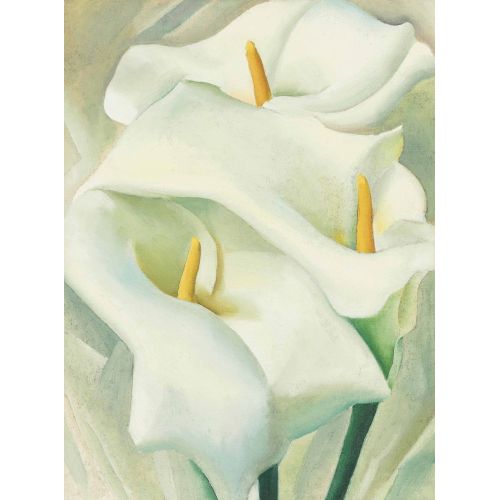 Georgia Okeeffe, Calla Lilies III Modernism Georgia Okeeffe, Calla LiliesIII Modernism Art Movements Canvas, Drawing Paper Prints, Reproduction Oil Painting and High