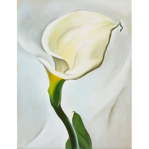 Georgia O'keeffe, Kalla Zambak Döndü
