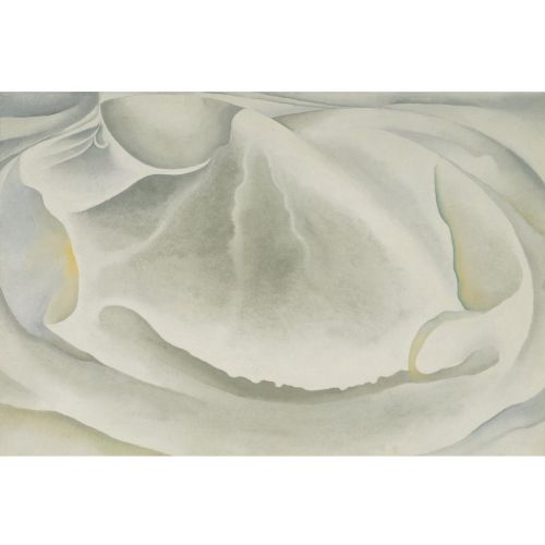 Georgia O'keeffe, Clam Shell