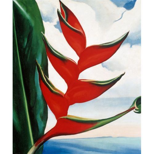 Georgia O'keeffe, Heliconia Crabs Claw Ginger