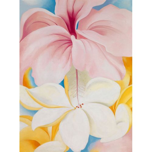 Georgia O'keeffe, Ebegümeci Georgia O'keeffe, Ebegümeci