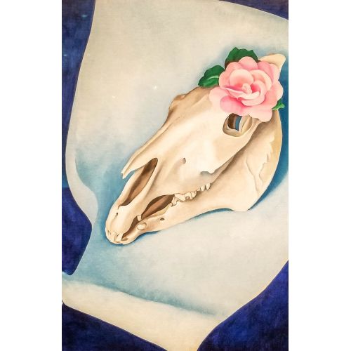 Georgia Okeeffe, Horses Skull With Pink Rose Modernism Art Movements Canvas, Drawing Paper Prints, Reproduction Oil Painting