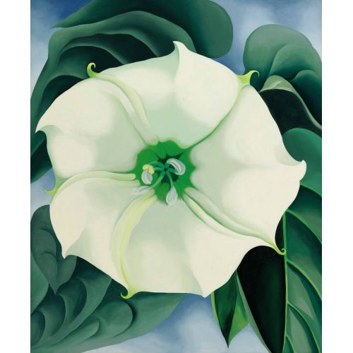 Georgia Okeeffe, Jimson Weed Modernism Art Movements Canvas, Drawing Paper Prints, Reproduction Oil Painting and High Resolution