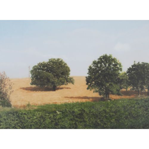 Gerhard Richter, Baume Im Feld Gerhard Richter, Baume Im Feld