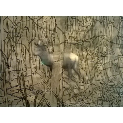 Gerhard Richter, Deer