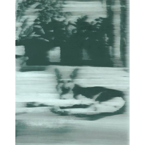 Gerhard Richter, Hund Köpek 1965 Gerhard Richter, Hund Köpek 1965