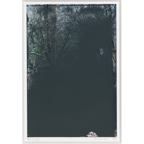 Gerhard Richter, Ağaç Gerhard Richter, Ağaç