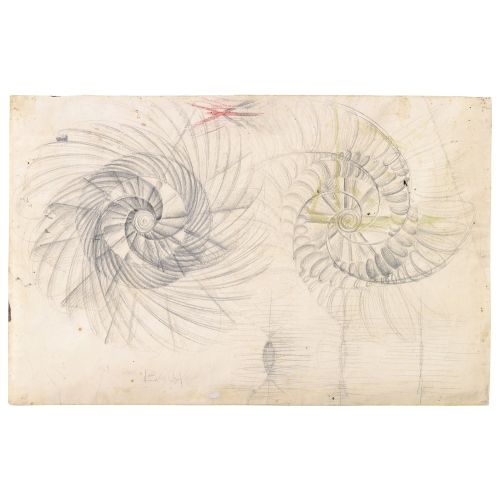 Giacomo Balla, Motosikletin Form Gürültüsü Fütürizm Giacomo Balla, Motosikletin Form Gürültüsü Fütürizm Sanat Akımları