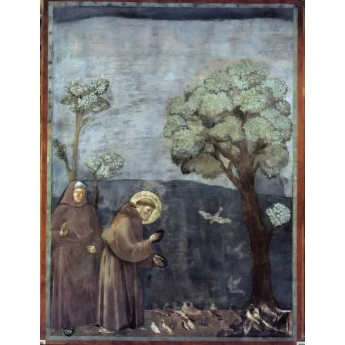 Giotto di Bondone, Aziz Francis'in Kuşlara Vaaz Vermesi