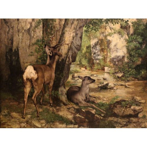 Gustave Courbet, Deer Gustave Courbet, Deer