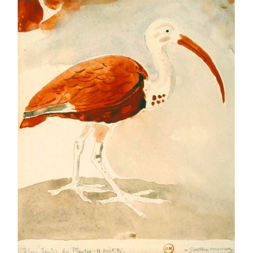 Gustave Moreau, Ibis