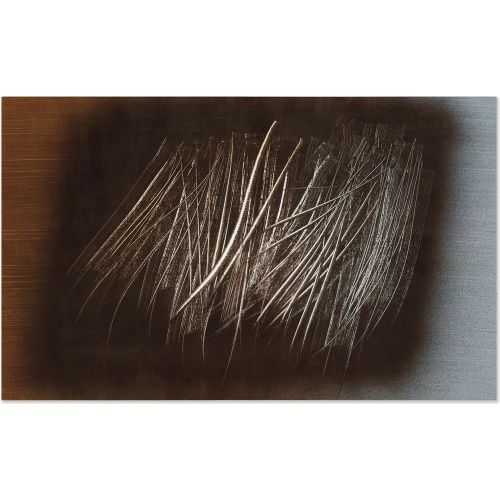 Hans Hartung, T1962-H24 Hans Hartung, T1962-H24 Lekecilik Sanat Akımları