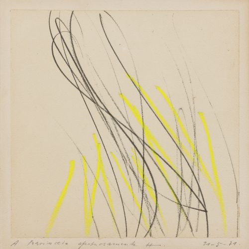 Hans Hartung, Kp1971-9 Hans Hartung, Kp1971-9 Lekecilik Sanat Akımları