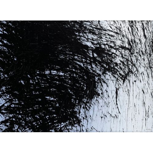 Hans Hartung, T1981-K5 Hans Hartung, T1981-K5 Lekecilik Sanat Akımları