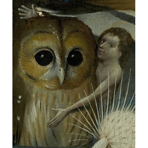 Hieronymus Bosch, Baykuş Hieronymus Bosch, Baykuş